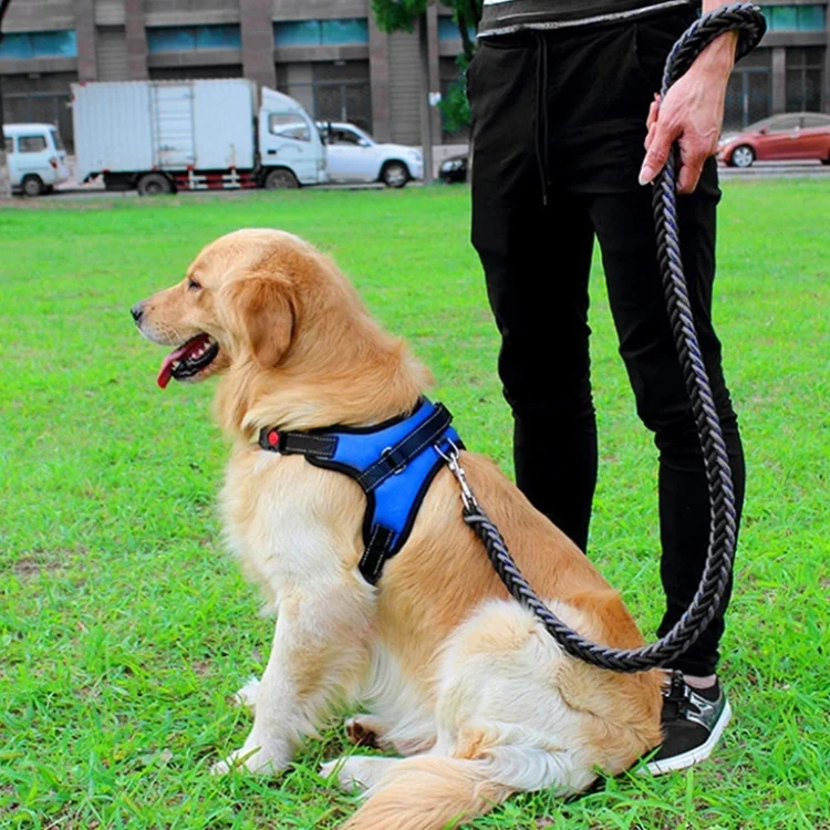 TBD049228302C_6.webp Adjustable Harness For Small Medium Large Dogs Pet Walking Hand Strap - Image 7