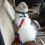 Nylon Harness Leash Clip Pet Dog Car Seat Belt Security Belt - Image 6