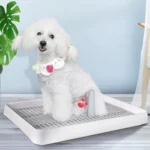 Open Type Pet Dog Toilet Potty Pet Supplies - Image 3