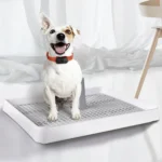 Open Type Pet Dog Toilet Potty Pet Supplies - Image 4