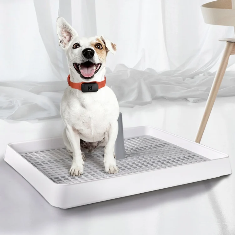 TBD049249601_3.webp Open Type Pet Dog Toilet Potty Pet Supplies - Image 4