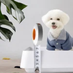 Open Type Pet Dog Toilet Potty Pet Supplies - Image 5