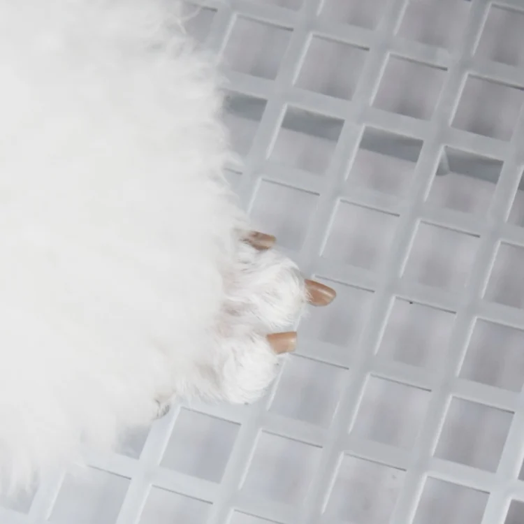 TBD049249601_5.webp Open Type Pet Dog Toilet Potty Pet Supplies - Image 6