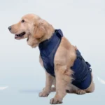 Pet Leash Senior Dogs Walking Aids Chest Harness - Image 3