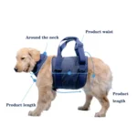 Pet Leash Senior Dogs Walking Aids Chest Harness - Image 6