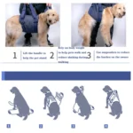 Pet Leash Senior Dogs Walking Aids Chest Harness - Image 7