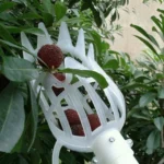 Plum Date Apricot Pick Fruit Plastic Tool - Image 2