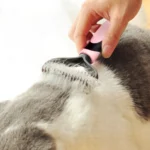 Fur Hair Grooming Hair Shedding Tool Brush for Dog Pet Cat - Image 7