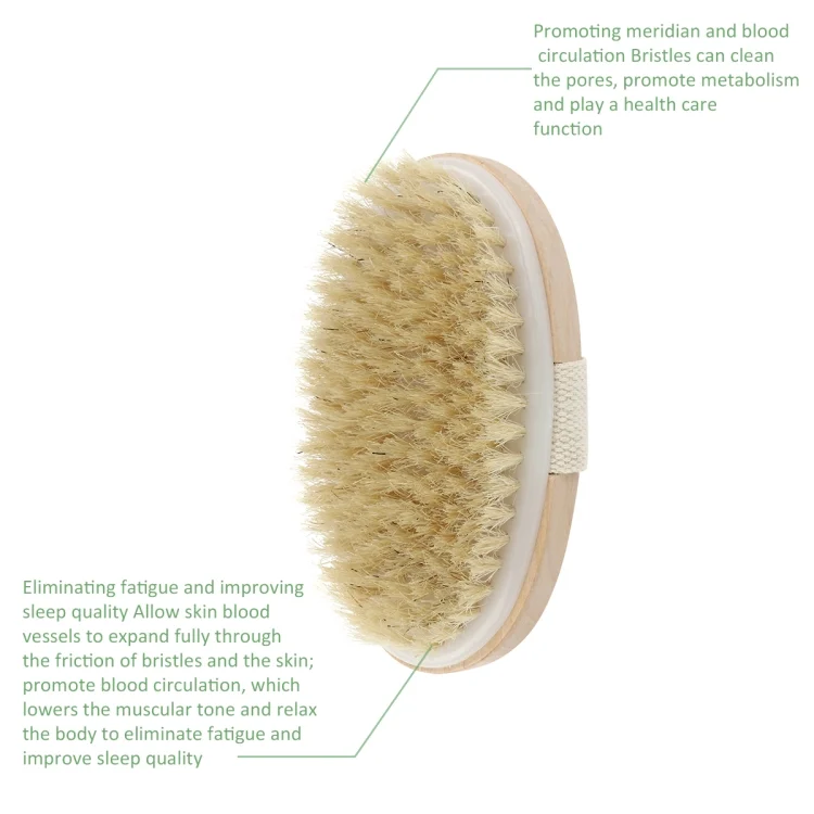 TBD0520699_1.webp Soft Natural Bristle SPA Brush Without Handle - Image 2