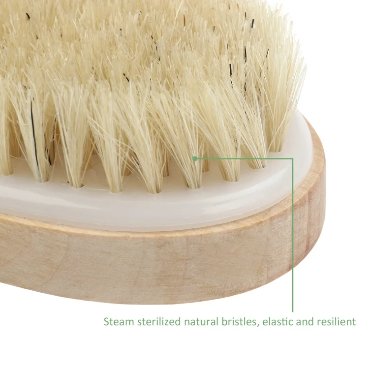TBD0520699_2.webp Soft Natural Bristle SPA Brush Without Handle - Image 3
