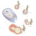 Baby Nest Bed Crib Portable Removable and Washable Crib Travel Bed Cotton Cradle for Children Infant Kids - Image 6