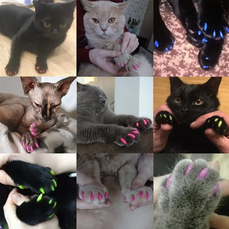 TBD053062401A_3.webp 20 PCS Silicone Soft Cat Nail Caps / Cat Paw Claw / Pet Nail Protector/Cat Nail Cover - Image 4