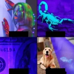 Purple Flashlight Scorpion Fluorescent Detection Lamp Money Detector Lamp Outdoor Lamp - Image 8