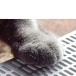 Cat Litter Box Semi-closed Square Feces Basin Pet Toilet - Image 5