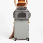 Portable Pet Bag for Outing Cats and Dogs Collapsible Pet Shoulder Bag Pet Backpack - Image 13