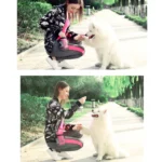 Pet Training Waist Bag Outdoor Multifunctional Snack Bag Pet Supplies - Image 7