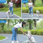 MOVEPEAK Pet Snack Bag Leash Pet Training Waist Bag Outing Dog Snack Bag - Image 8