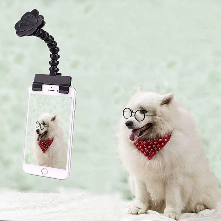 Pet Camera Artifact Dog Cat Looking At Camera Phone Clip