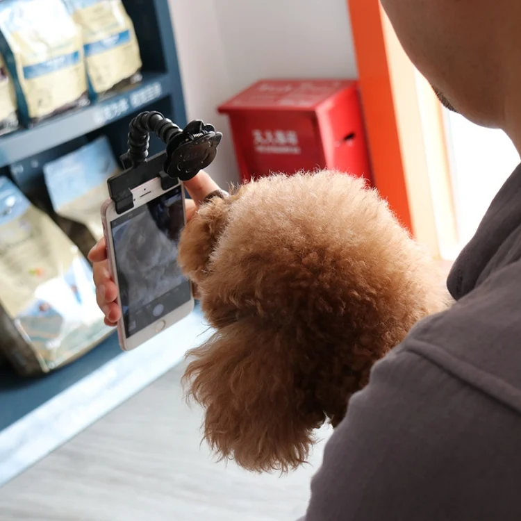 TBD0538588901_B5.webp Pet Camera Artifact Dog Cat Looking At Camera Phone Clip - Image 6