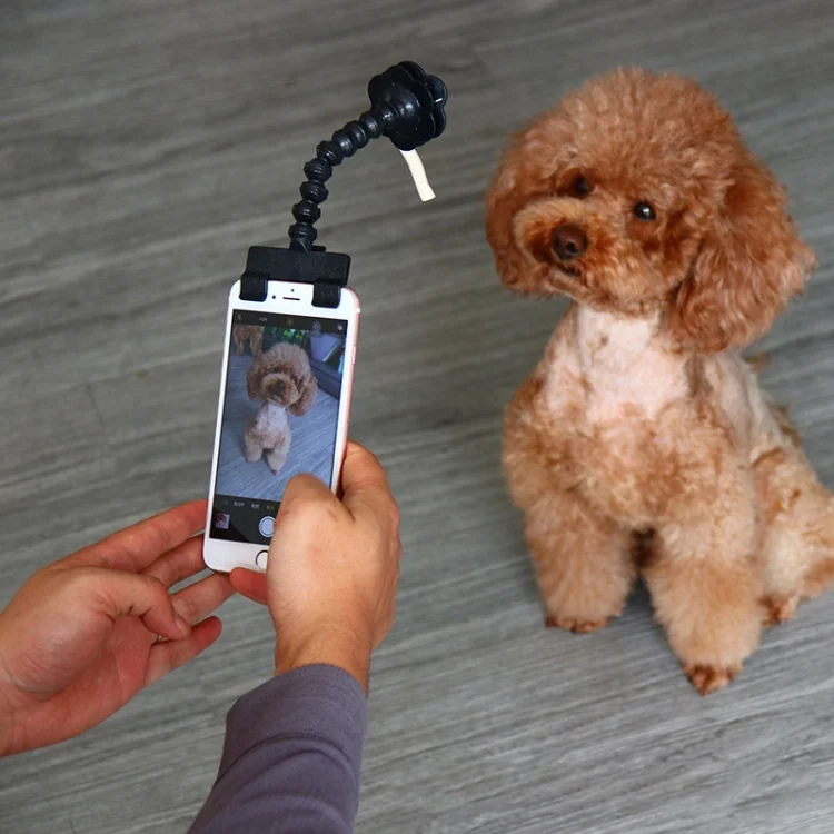 TBD0538588901_B6.webp Pet Camera Artifact Dog Cat Looking At Camera Phone Clip - Image 7