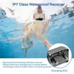800m Remote Control Electric Shock Bark Stopper Vibration Warning Pet Supplies Electronic Waterproof Collar Dog Training Device - Image 4
