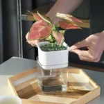 Green Radish Hydroponic Flowerpot Plastic Transparent Non-Porous Plant Automatic Water Absorption  Succulent Flowerpot - Image 4