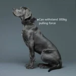 Nylon Thickened Large And Medium-Sized Dog Traction Collar Pet Collar - Image 3