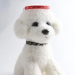 Pet Collar Webbing Cat Collar Star Moon with Pendant - Image 3