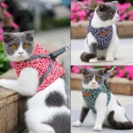 DogLemi Pet Cat Traction Rope Chest Harness Vest Type Traction Suit Cat Walking Rope - Image 4