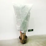 2 PCS Plant Freeze-Proof Cover  Autumn And Winter Cold-Proof Tree Cover Non-Woven Plant Antifreeze Bag - Image 7