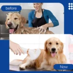 Pet Hair Dryer Cat & Dog Cleaning Electric Comb - Image 5