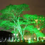 30W Remote Control Outdoor Waterproof Laser Light Garden Decoration Lawn Lamp , Green Light + Red Light - Image 6