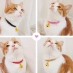 Prepared PU Leather Adjustable Pet Bell Collar Cat Dog Rabbit Simple Collar Necklace - Image 6