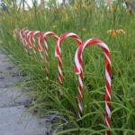 10 in 1 Christmas Cane Lights Holiday Indoor Garden Decoration Lights - Image 6