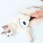 Stainless Steel Needle Automatic Cleaning Pet Hair Removal Dog Brush Pet Comb - Image 7