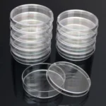 10 PCS Polystyrene Sterile Petri Dishes Bacteria Dish Laboratory Medical Biological Scientific Lab Supplies - Image 3
