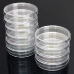 10 PCS Polystyrene Sterile Petri Dishes Bacteria Dish Laboratory Medical Biological Scientific Lab Supplies - Image 4