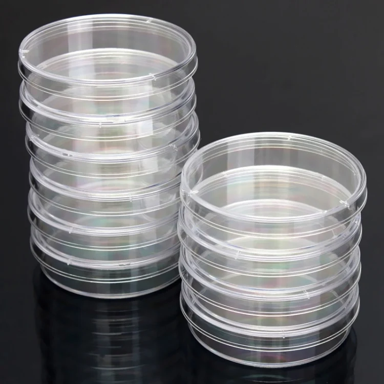 TBD054826401_3.webp 10 PCS Polystyrene Sterile Petri Dishes Bacteria Dish Laboratory Medical Biological Scientific Lab Supplies - Image 4