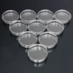 10 PCS Polystyrene Sterile Petri Dishes Bacteria Dish Laboratory Medical Biological Scientific Lab Supplies - Image 5