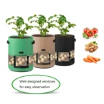 360 Degree Transparent Potato Bag In The Middle Covered Plant Growing Bag - Image 5