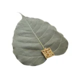 Creative Personality Natural Bodhi Leaf Filter Tea Leak