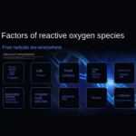 2L Heating Constant Temperature Hydrogen-Rich Water Machine Micro-electrolysis Water Kettle, EU Plug - Image 5