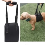 HCPET F1905 Disabled Dogs Assistive Belts Elderly Dogs Walking Assisted Leashes Pet Supplies - Image 7