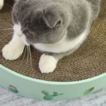Round Corrugated Cat Scratcher Claw Sharpener Toy Bed - Image 6