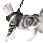 Cat Leash Pet Chest Harness Leash