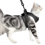 Cat Leash Pet Chest Harness Leash - Image 9