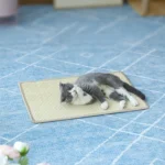 Cat Scratch Pad Pet Supplies Carpet Sleeping Mat Cat Placemat, Random Color Delivery - Image 5