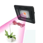 Ultra-Thin LED Plant Light, Full Spectrum COB Growth Light, Vegetable, Fruit & Flower Greenhouse Fill Light Without Plug