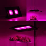 Ultra-Thin LED Plant Light, Full Spectrum COB Growth Light, Vegetable, Fruit & Flower Greenhouse Fill Light Without Plug - Image 9