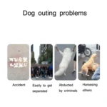 Medium & Large Dog Tractor With LED Light For Night Travel Lighting Traction Rope - Image 4